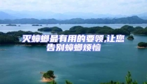 滅蟑螂最有用的要領,讓您告別蟑螂煩惱