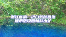 浙江省第一批白蟻綜合治理示范項目新鮮出爐
