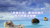 【殺蟲公司】麥當勞熱巧克力中喝出蟑螂