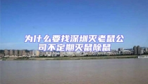 為什么要找深圳滅老鼠公司不定期滅鼠除鼠