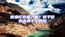 蚊蟲叮咬難入眠?蚊子咬后去癢十個(gè)妙招