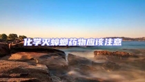 化學滅蟑螂藥物應該注意