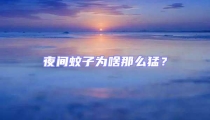 夜間蚊子為啥那么猛?