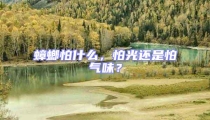 蟑螂怕什么,怕光還是怕氣味?