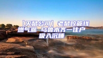 【滅鼠公司】老鼠咬管線燃氣漏 烏魯木齊一住戶吸入沉睡