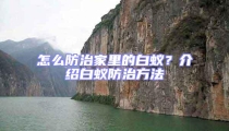怎么防治家里的白蟻？介紹白蟻防治方法
