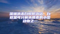 深圳消殺白蟻防治站,白蟻是可分解木質(zhì)素的小型動(dòng)物之一
