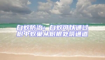 白蟻防治:白蟻可以通過樹中蟻巢從樹根處筑通道