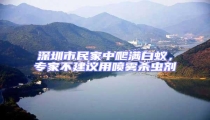 深圳市民家中爬滿白蟻,專家不建議用噴霧殺蟲劑