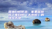 深圳白蟻防治:家里居然成了家白蟻(大水蟻)的快樂天地