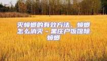 滅蟑螂的有效方法,蟑螂怎么消滅–黑莊戶飯館除蟑螂