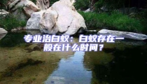 專(zhuān)業(yè)治白蟻:白蟻存在一般在什么時(shí)間?
