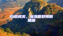 白蟻成災,應當做好預防措施