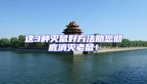 這3種滅鼠好方法助您徹底消滅老鼠!