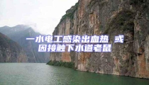 一水電工感染出血熱 或因接觸下水道老鼠