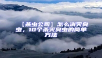 【殺蟲公司】怎么消滅臭蟲,10個殺滅臭蟲的簡單方法