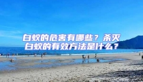 白蟻的危害有哪些?殺滅白蟻的有效方法是什么?