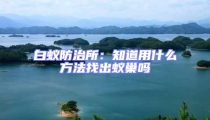 白蟻防治所:知道用什么方法找出蟻巢嗎