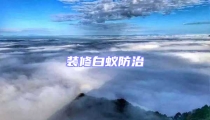 裝修白蟻防治