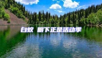白蟻 眼下正是活動季