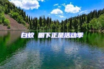 白蟻 眼下正是活動季