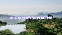 怎么檢測家中是否有白蟻