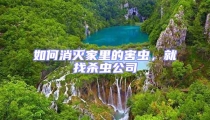 如何消滅家里的害蟲,就找殺蟲公司
