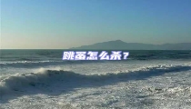 跳蚤怎么殺?