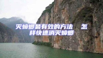 滅蟑螂最有效的方法  怎樣快速消滅蟑螂
