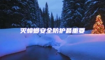 滅蟑螂安全防護最重要