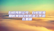 白蟻預防公司:白蟻繁殖期時間到白蟻防治工作迫在眉睫