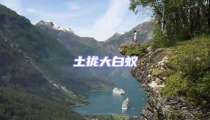 土攏大白蟻