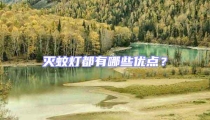 滅蚊燈都有哪些優(yōu)點(diǎn)?