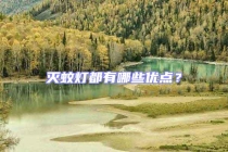 滅蚊燈都有哪些優(yōu)點(diǎn)？