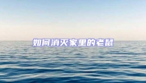 如何消滅家里的老鼠