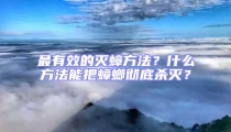 最有效的滅蟑方法?什么方法能把蟑螂徹底殺滅?