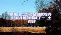 德化:三萬現金白蟻吃光光 娶兒媳的錢成了一抔土 白蟻