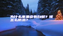 為什么家里會有白蟻?該怎么防治?
