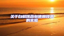 關于白蟻餌藥包使用技術的實驗