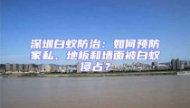 深圳白蟻防治：如何預防家私、地板和墻面被白蟻侵占？