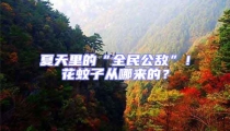夏天里的“全民公敵”!花蚊子從哪來(lái)的?
