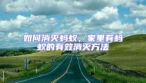如何消滅螞蟻,家里有螞蟻的有效消滅方法
