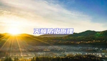 滅蟑防治原理