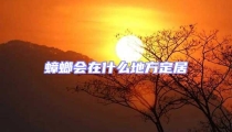 蟑螂會在什么地方定居