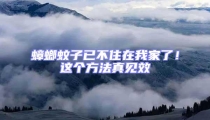 蟑螂蚊子已不住在我家了!這個方法真見效