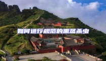 如何進行規范的熏蒸殺蟲