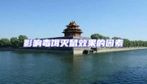 影響毒餌滅鼠效果的因素