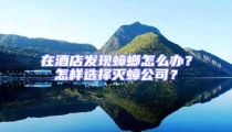 在酒店發(fā)現(xiàn)蟑螂怎么辦?怎樣選擇滅蟑公司?