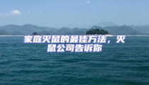 家庭滅鼠的最佳方法,滅鼠公司告訴你