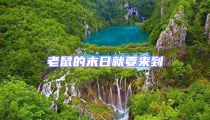 老鼠的末日就要來到